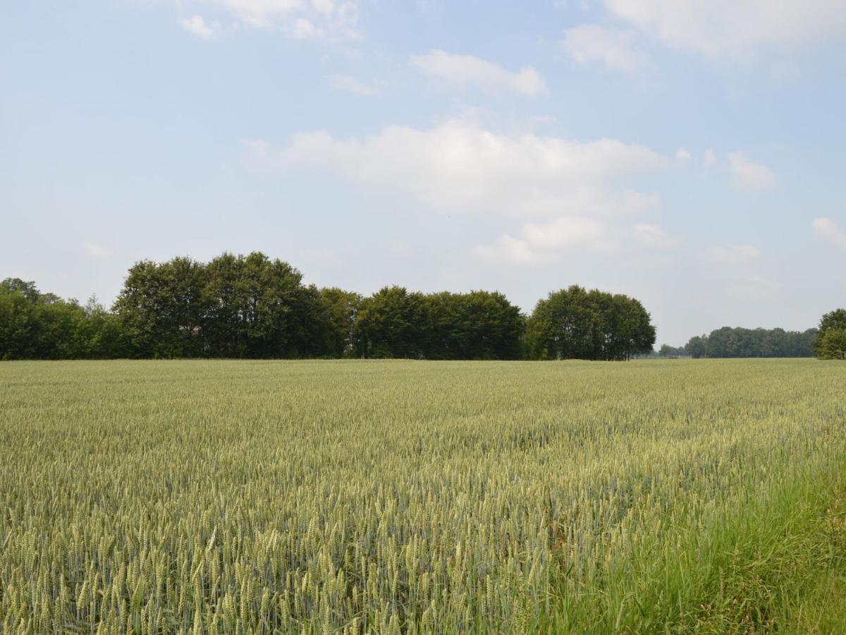 Monumental Farm In The Ash Landscape Villa Geesteren  Bagian luar foto
