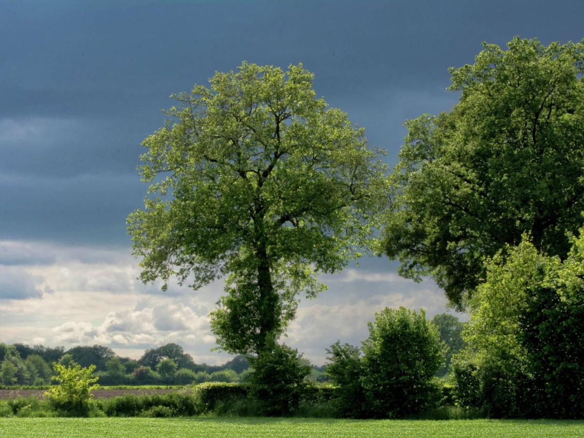 Monumental Farm In The Ash Landscape Villa Geesteren  Bagian luar foto